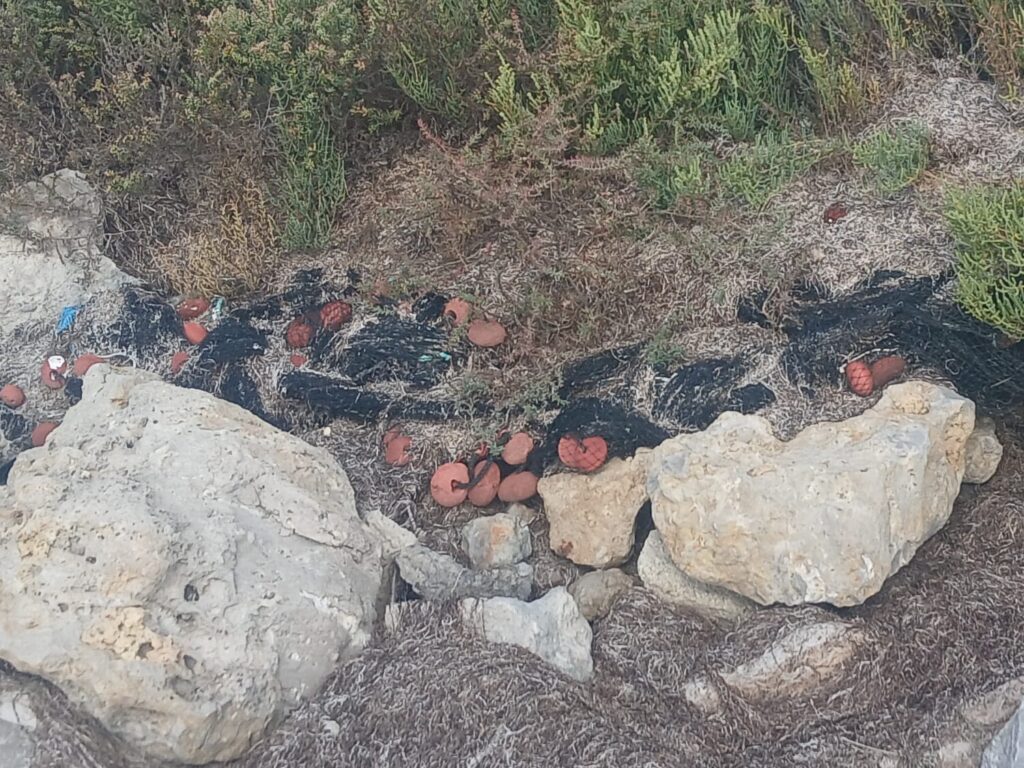 WhatsApp Image 2025-09-21 à 08.45.45_a03c6e4d