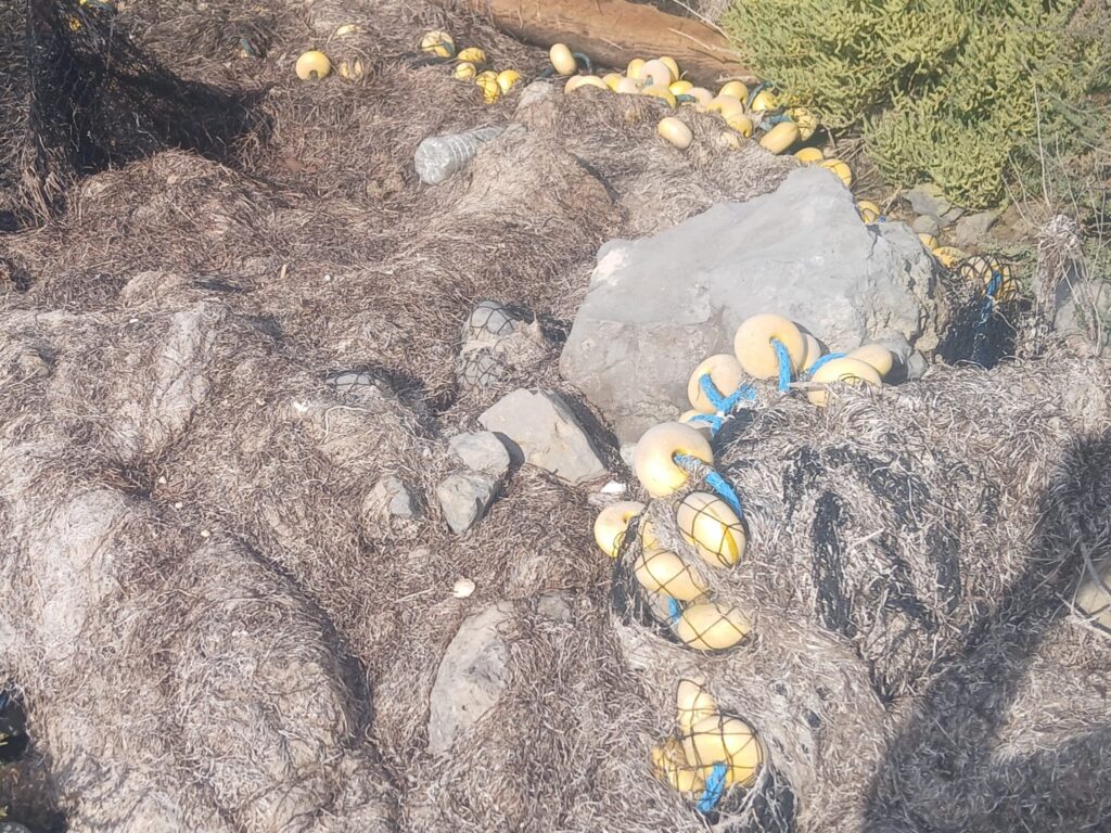 WhatsApp Image 2025-09-21 à 08.45.59_55fa1884