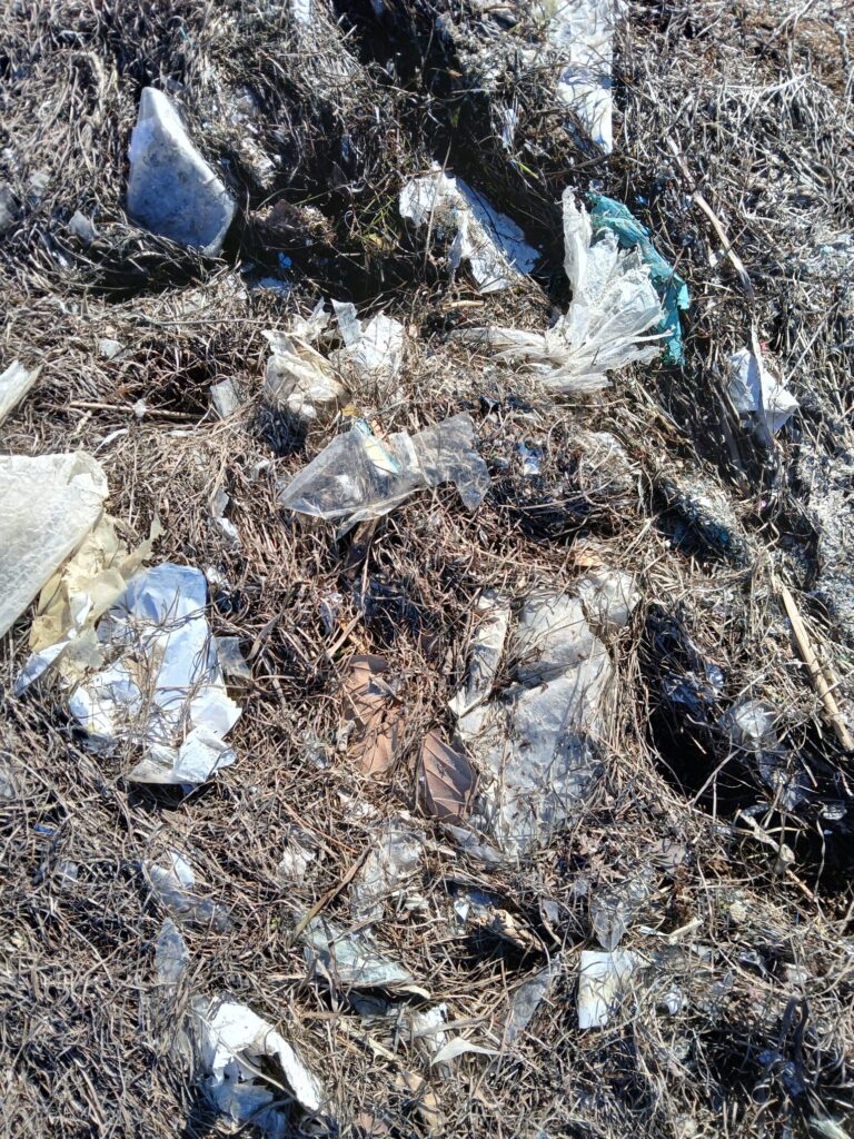 WhatsApp Image 2026-02-21 at 21.20.44