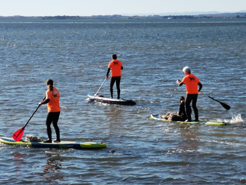 WhatsApp Image 2026-02-21 at 22.42.28