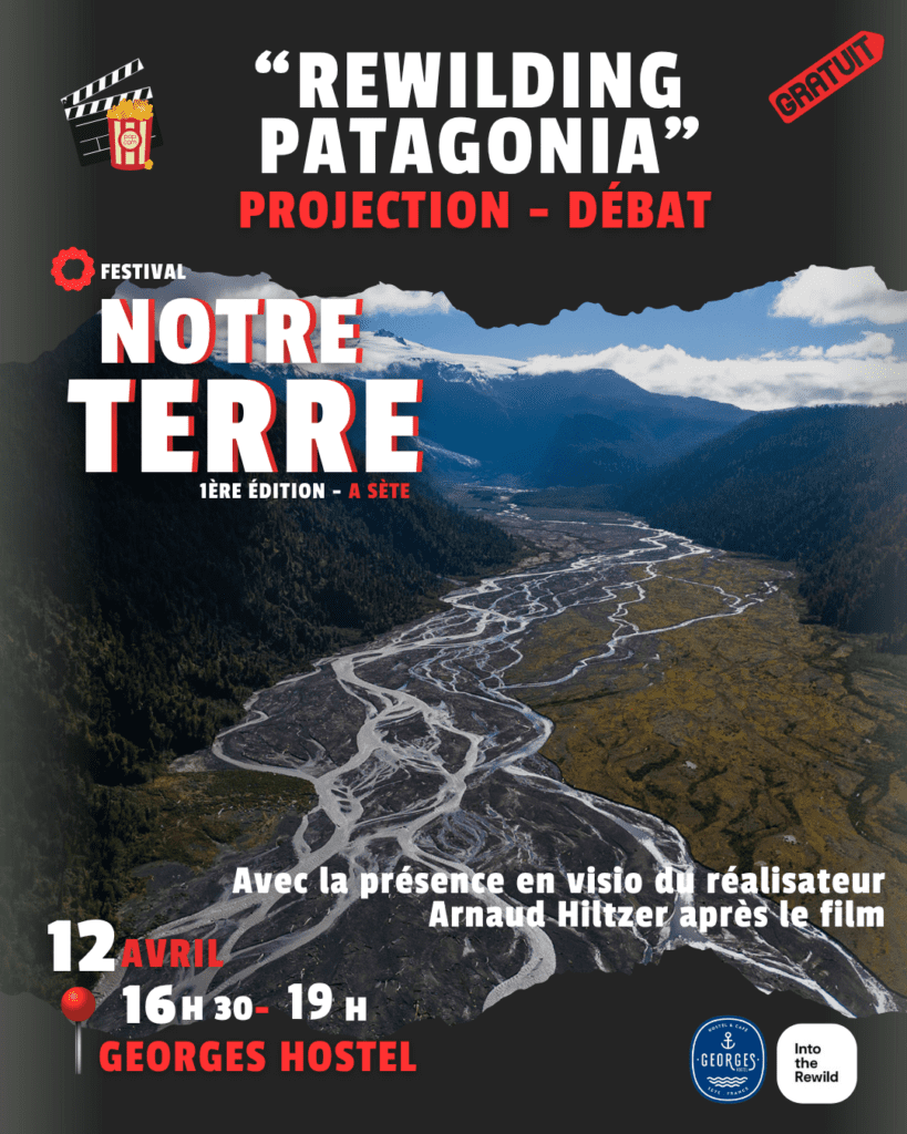 rewilding patagonia (1)